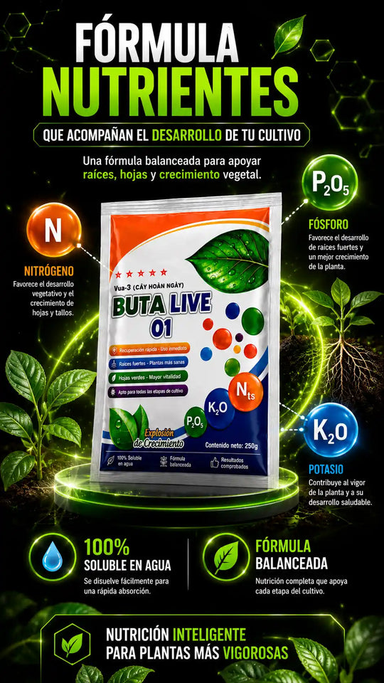 🌱 ¿Tus plantas no crecen como esperabas? Descubre cómo apoyar su desarrollo desde la raíz.