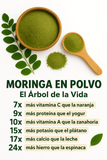 Moringa - 100% pura + ENVIO GRATIS