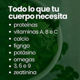 Moringa - 100% pura + ENVIO GRATIS