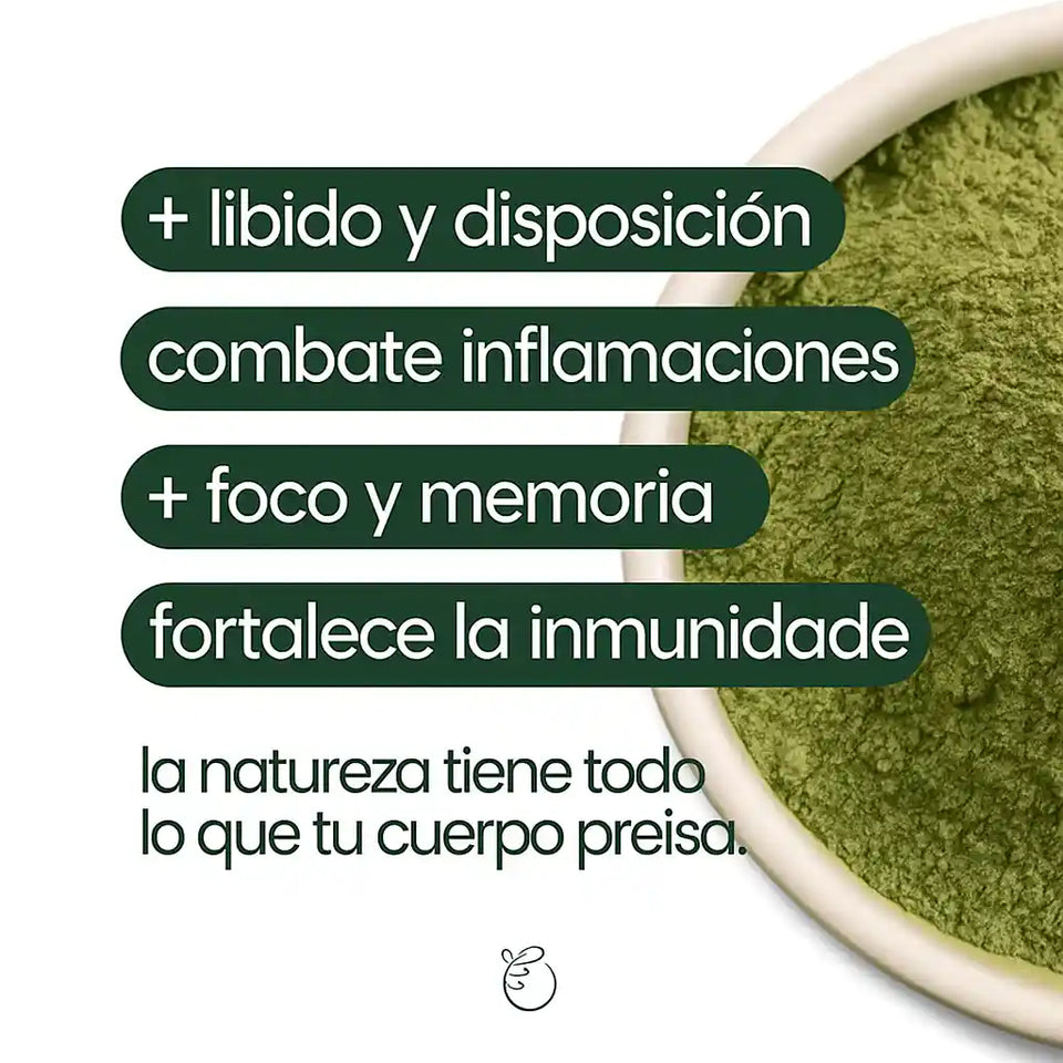 Moringa - 100% pura + ENVIO GRATIS