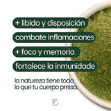 Moringa - 100% pura + ENVIO GRATIS
