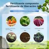 Activador de Suelo VIRESTA (Ácido y Alcalino) + ENVIO GRATIS 🚚