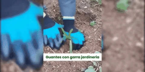 GUANTES DE JARDINERIA CON GARRAS